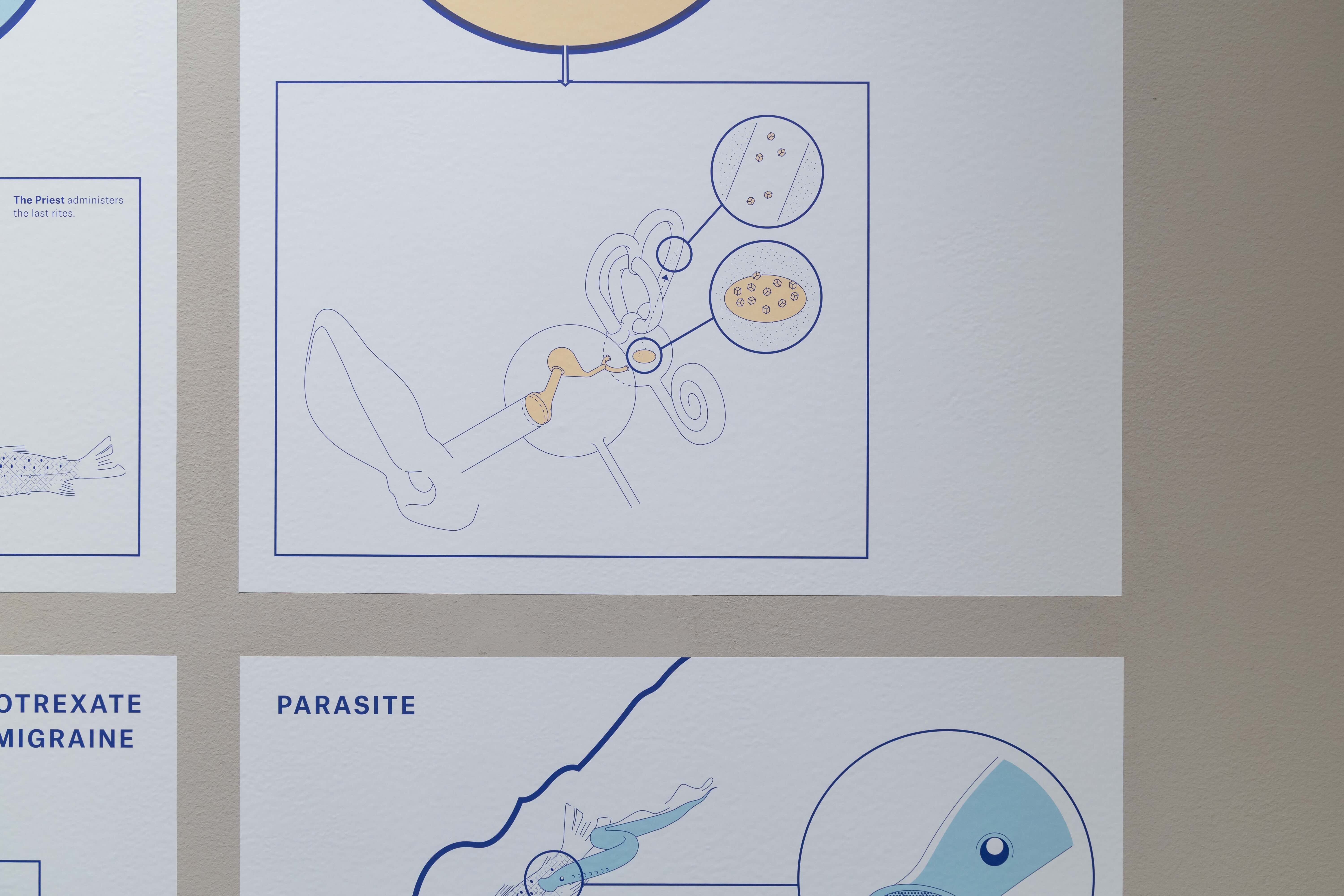 Description of image 12